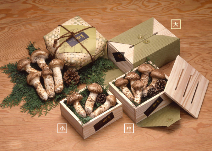 岡山県産松茸送料込み 楽天市場】 まつたけ > 岡山県産 : 有限会社もも屋